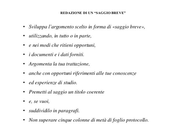 saggio breve esempio saggio breve esempio
